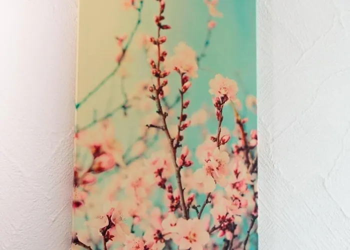 Riesling Διαμέρισμα *